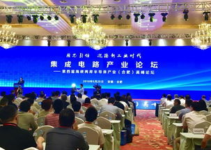 集成電路產業在合肥 專家智囊團成立，企業數字化建設迎新機遇